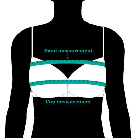 Bust To Bust Measurement : Cup size chart is b. - Goimages U