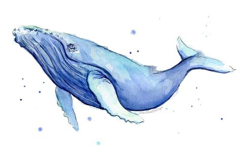 Humpback Whale Watercolor Print Whale Art Whale Painting