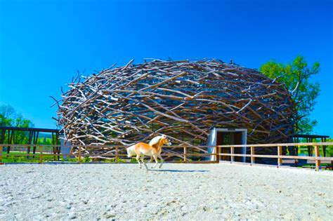 nest equestrian center | Inhabitat - Green Design, Innovation ...