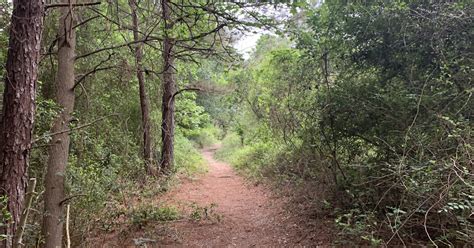 Hike Cypress Creek Trail, Cypress, Texas