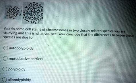 SOLVED: You do some cell stains of chromosomes in two closely related species studying and this ...