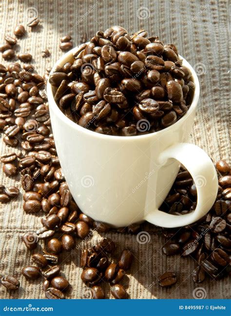 French Roast Coffee Beans Royalty Free Stock Photography - Image: 8495987