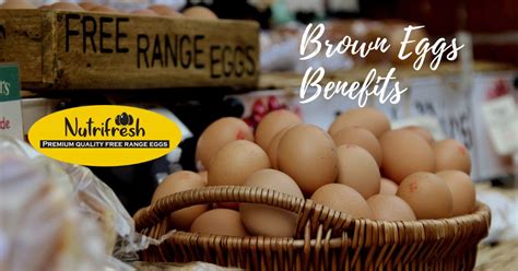 6 Top Brown Eggs Benefits You Must Know - Nutri Fresh