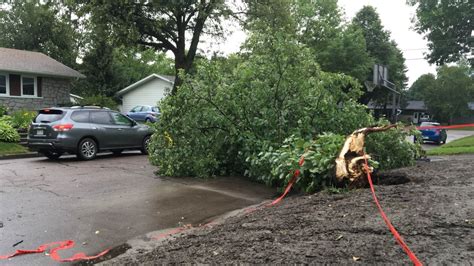 Quebec City microburst knocks down trees, damages property | CBC News