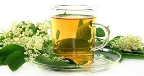 Suffering from rheumatoid arthritis? Drink green tea! | TheHealthSite.com