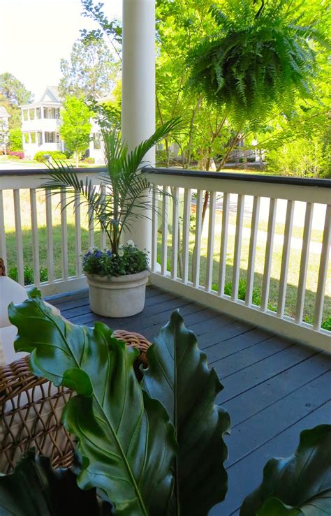 a curious gardener: porch plants