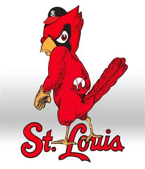 St Louis Cardinals Clipart | Free download on ClipArtMag