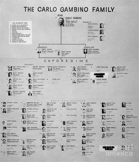 Chart Of Gambino Crime Family Poster by Bettmann - Photos.com