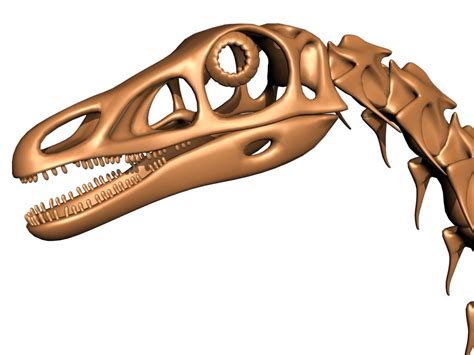 Therizinosaurus skeleton 3D Model $99 - .obj .max - Free3D