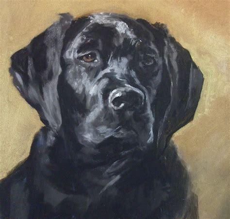 Black Lab Painting by Debbie Anderson | Dog portraits painting, Labrador art, Dog portraits