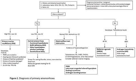 Primary amenorrhoea – O&G Magazine