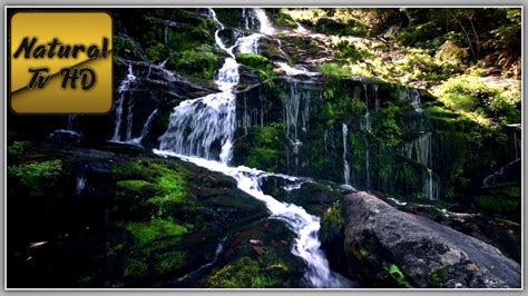 Beautiful Waterfall | With Relaxing Music | Nature Sounds | Natural Tv HD - YouTube