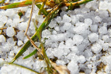 Snow Pellets, Graupel Or Soft Hail On The Ground. Form Of Precipitation ...