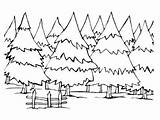 Pine Tree Coloring Page At GetColoringscom  Free Printable Colorings sketch template