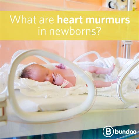 What are heart murmurs in newborns? | Heart murmur, Baby health, Newborn