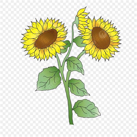 Art & Collectibles Clip Art Hand Drawn Sunflower Clip Art PNG Digital Images SVG Free Commercial ...