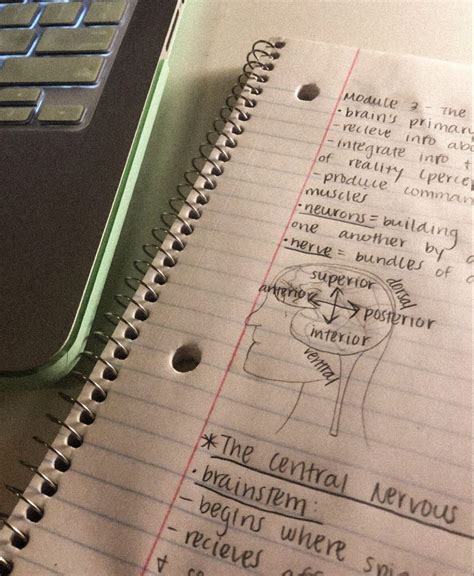 #psychology #college #collegelife #notetaking #neuroscience #psychmajor ...