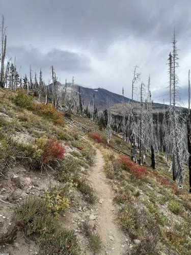 Best Hikes and Trails in Mount Adams Wilderness | AllTrails