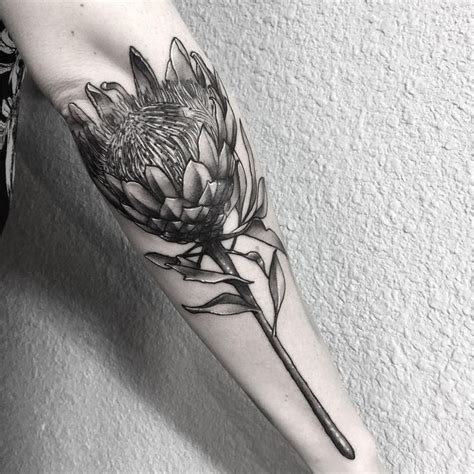 TylerMoody on Instagram: “A King Protea on the forearm to start the day ...