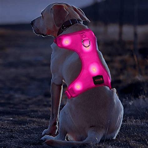 8 Best LED Dog Vests and Harness In 2021 | Technobark