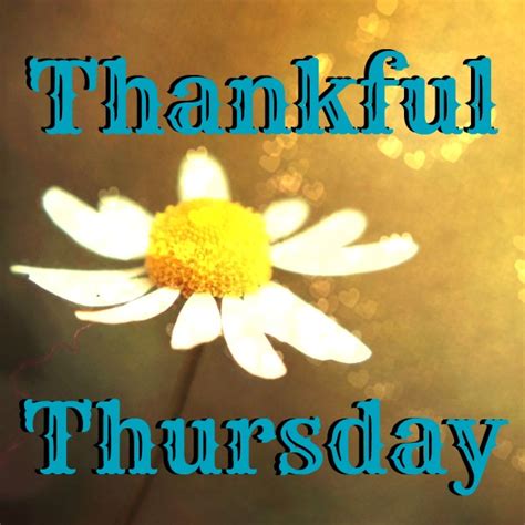 Thankful Thursday - The little things - Slightly Off Kilter