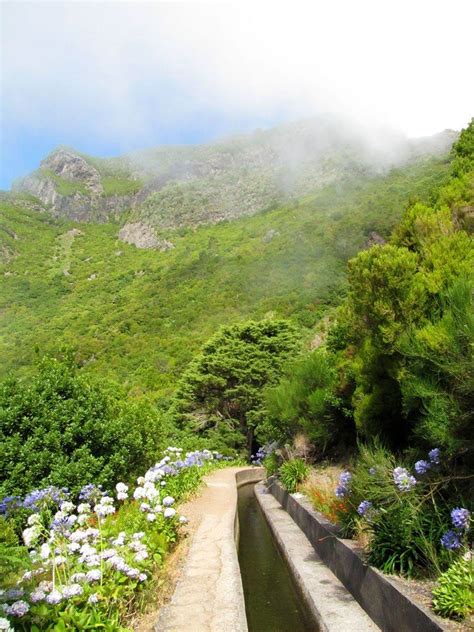 MADEIRA HIKING, TRAILS, TIPS AND PHOTOS • MADEIRAMAZING | Hiking ...