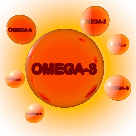 5 Important Benefits of Omega-3s For Dogs | VitaTherapy