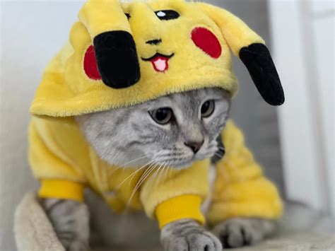 Pikachu Pet Costume / Dog & Cat Pikachu Costume Onesie | Etsy