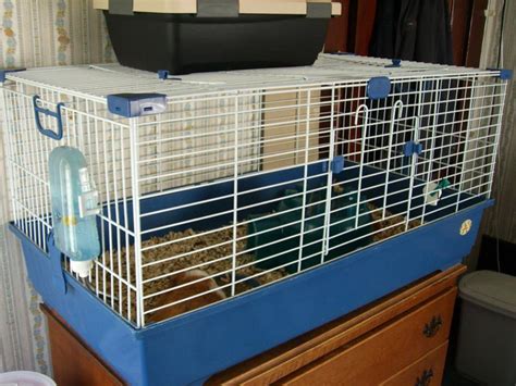 Seven Commercial Guinea Pig Cages