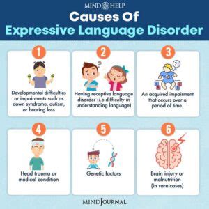 Understanding Expressive Language Disorder: 5 Key Facts You Should Know