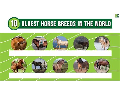 10 Oldest Horse Breeds Quiz