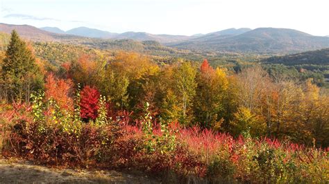 Fall Foliage in the White Mountains, NH | Bretton Woods