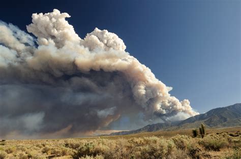 California Fires: Landscape History & How Restoration Helps - One Tree ...