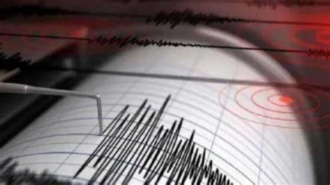 Earthquake of 3.6 magnitude strikes Uttarakhand’s Uttarkashi, no damage ...