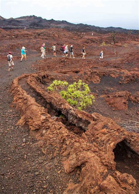 21 Galapagos Islands Volcanoes (Active, Dormant, Location Chart) | Storyteller Travel