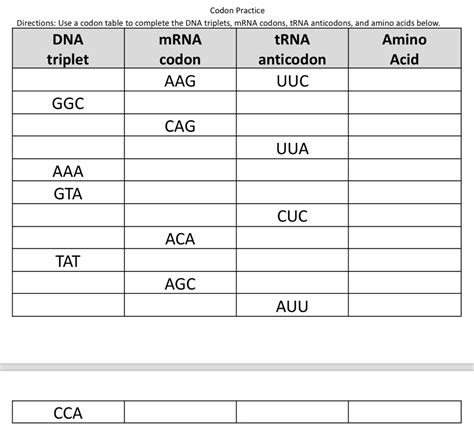 Trna Amino Acid Chart