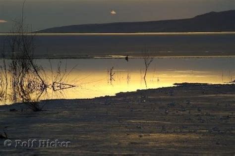 Great Salt Lake Sunset | Photo, Information