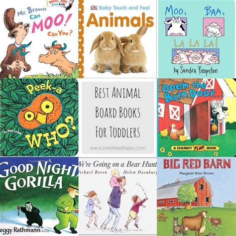 Animal Board Books for Toddlers | Toddler books, Animal books, Books