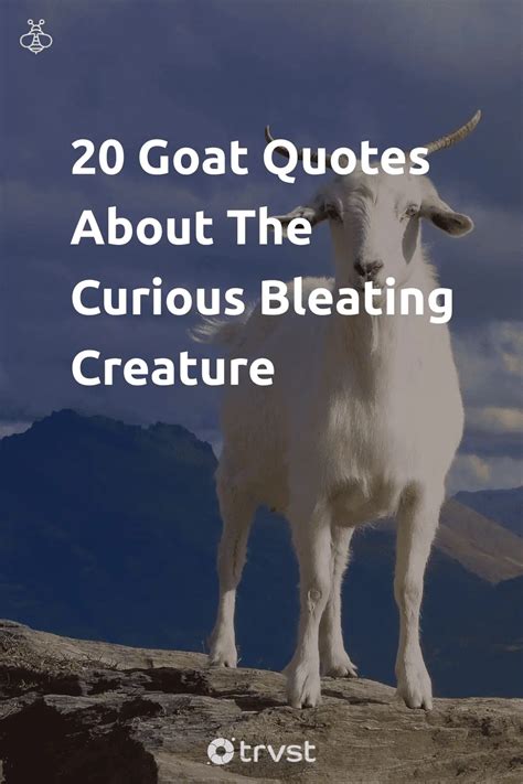 20 Goat Quotes And Sayings About The Bleating Creature (2024)