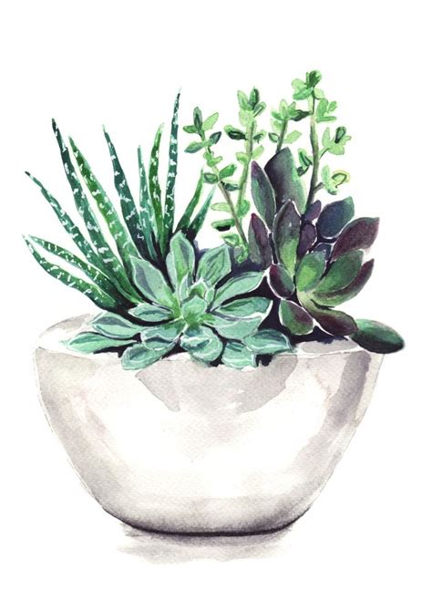 Succulents Art Print by Bridget Davidson | Society6 | Succulent painting, Succulent art ...