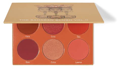 The 10 Best Blush Palettes of 2023 - LUXEBC