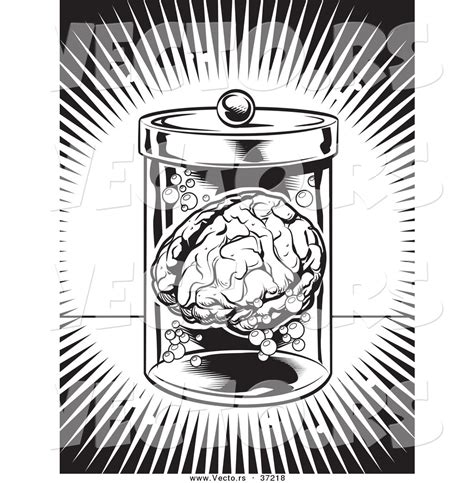 Brain Jack Image: Brain In A Jar