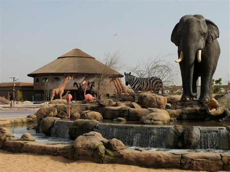 Dubai Safari Park - News, Views, Reviews, Photos & Videos on Dubai ...