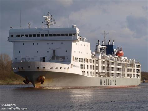 Stranded Livestock Carrier MV Ocean Outback Departs Western Australia After Animal Deaths – gCaptain