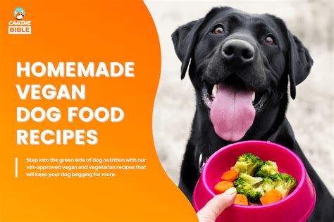 Homemade Vegan Dog Food: 10 Vet-Approved Recipes, Ingredients & Diet ...