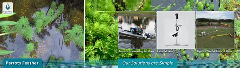 Aquatic Weed Control | Aquatic Technologies