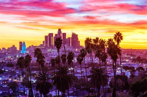 View of Downtown Los Angeles Skyline with Palm Trees at Sunset in ...