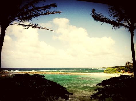 View of the beach. | Turtle bay resort, Turtle bay, Resort