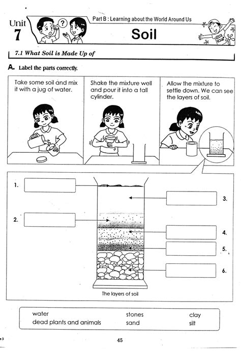 Soil Layers Worksheets