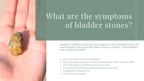 Why do I Have Bladder Problems? - Naturesupplies